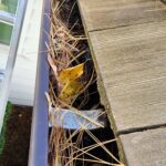 Commercial gutter cleaning