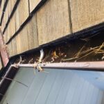 Emergency gutter cleaning